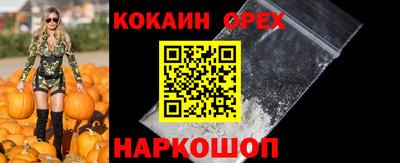 гашик Жуковский