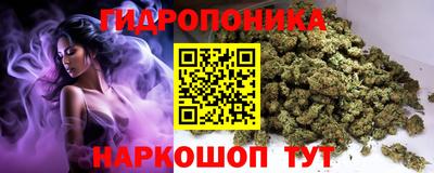 крисы Заводоуковск