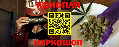 гашик Жуковский