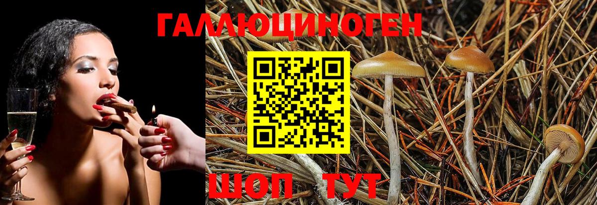 Галлюциногенные грибы MAGIC MUSHROOMS Кемерово
