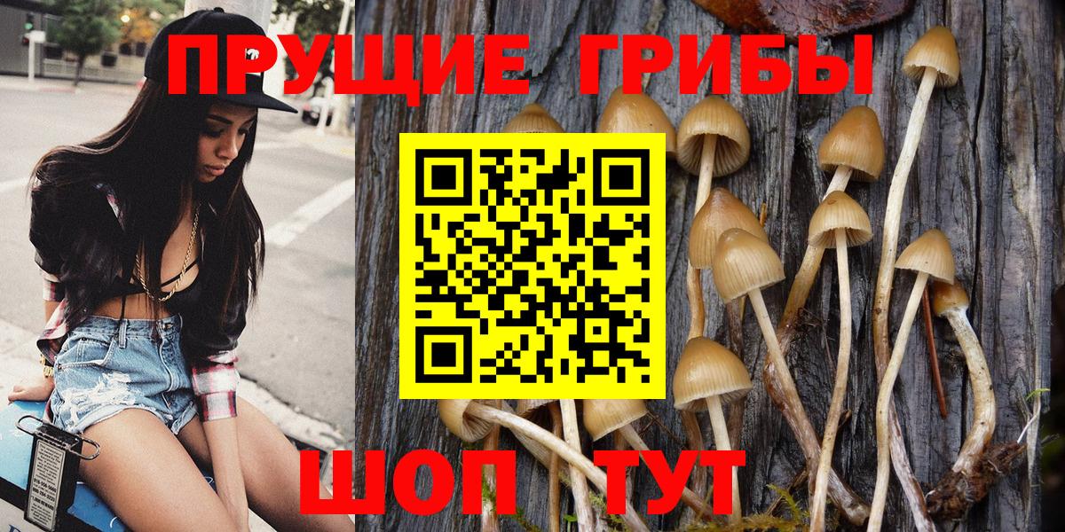 МЕФ кристаллы  Кокаин  Каннабис  Конопля  Лсд 25  Кемерово  ГАШИШ  ГАШ  Вход с VPN  Экстази  Alpha-PVP СК  