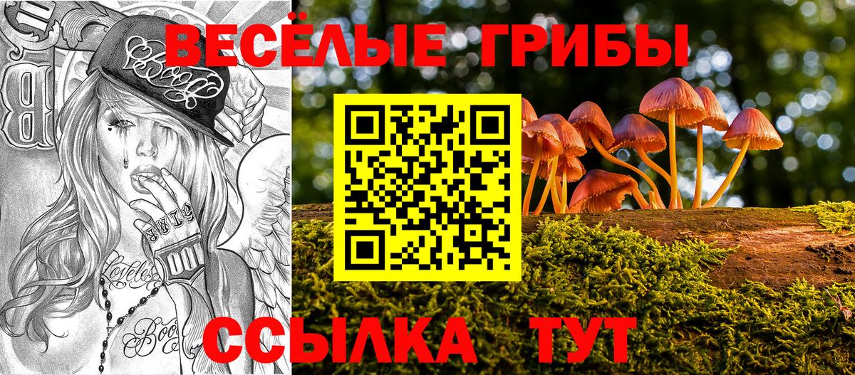 Псилоцибиновые грибы Psilocybe  Вход с VPN  Кемерово  Псилоцибиновые грибы Psilocybine cubensis 