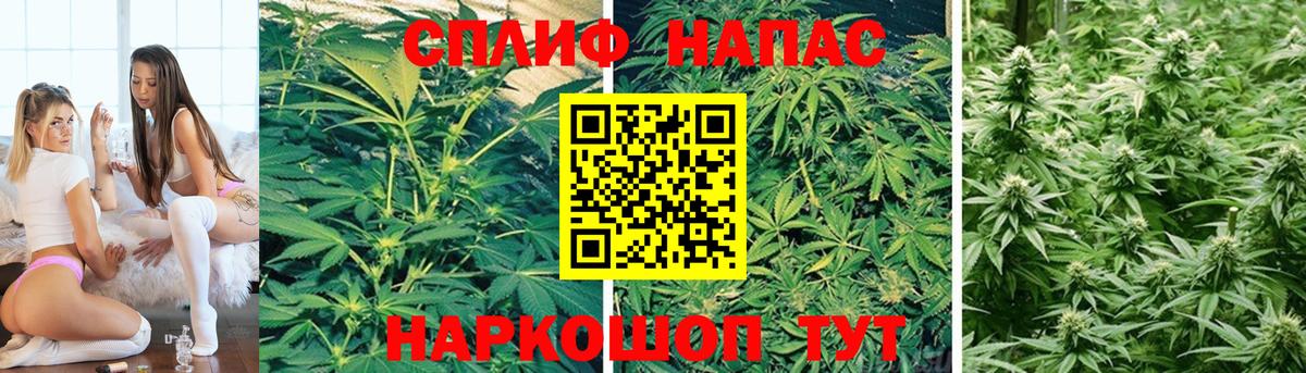 Конопля гибрид  Вход с VPN  Кемерово  Каннабис OG Kush 